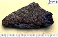 藏品(砂姜包骨)的圖片